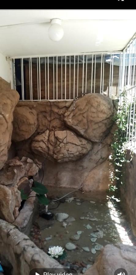 ניוקאסל Falcon Lodge מראה חיצוני תמונה