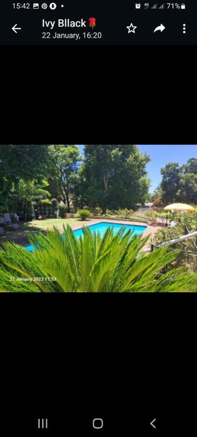 ניוקאסל Falcon Lodge מראה חיצוני תמונה